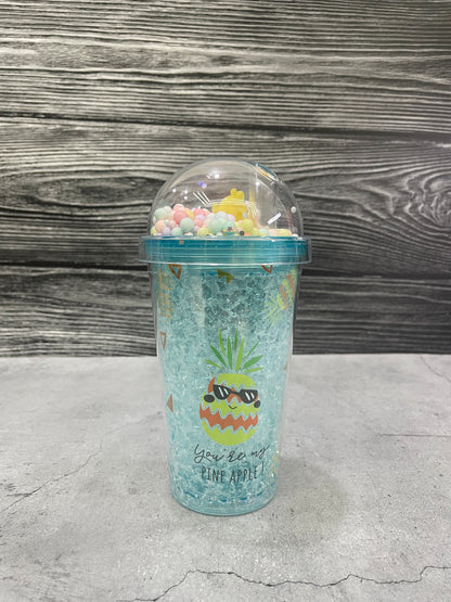 Fruit Acrylic Sipper